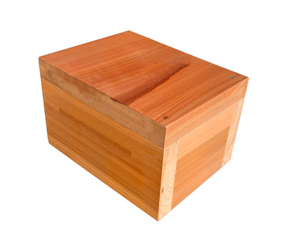 Sauna Plunge- Peak Plunge Ice Bath with Chiller - The Reviva Hub