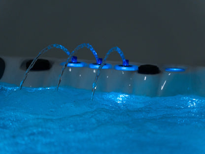 The Essence 5 - The Reviva Hub